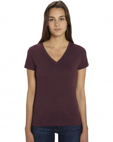 Ladies Organic V-Neck Shirt